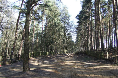 woburn woods