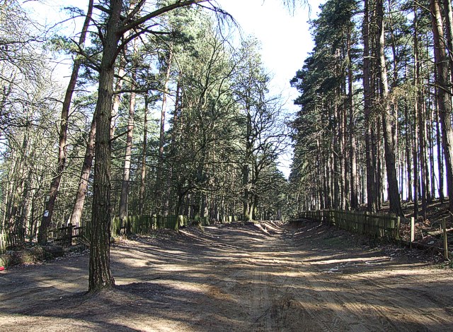 woburn woods